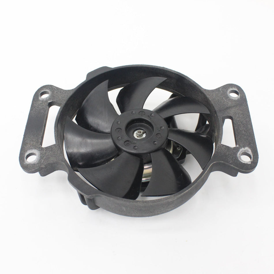 2023 ROYAL ALLOY GP 300 LC Fan Electric - 0302010002-02-001