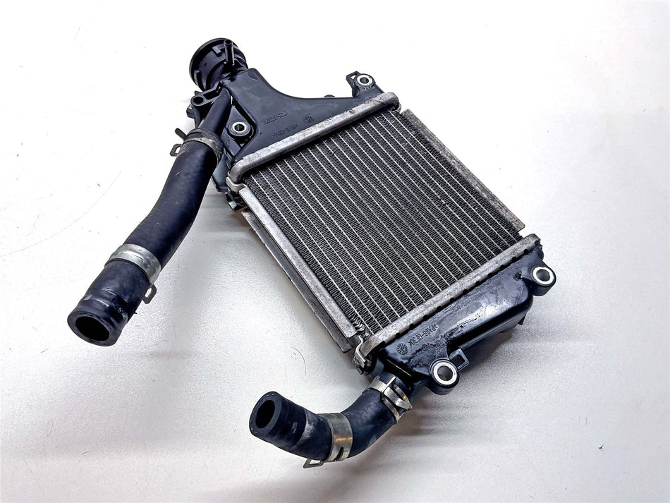 2023 Honda PCX125 Radiator Assembly - 19100K2SN00