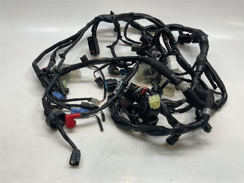 2024 Kawasaki Z650RS Wiring Harness Loom - 26031-3881