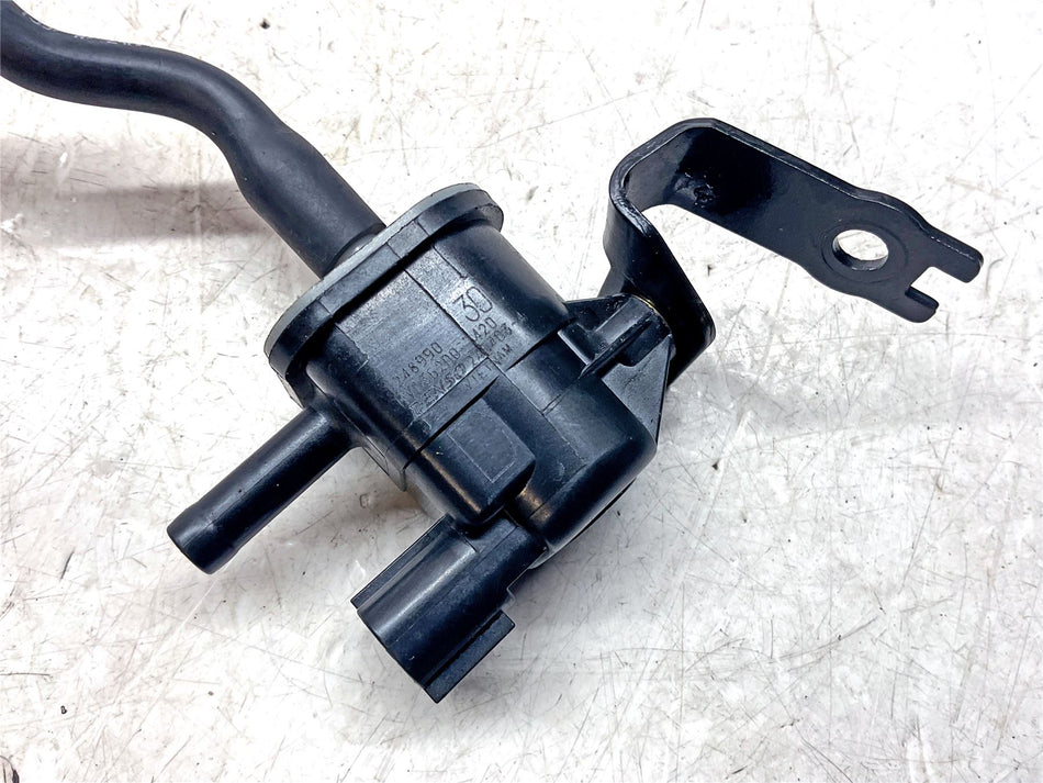 2025 Triumph Trident 660 Purge Valve - T1248990