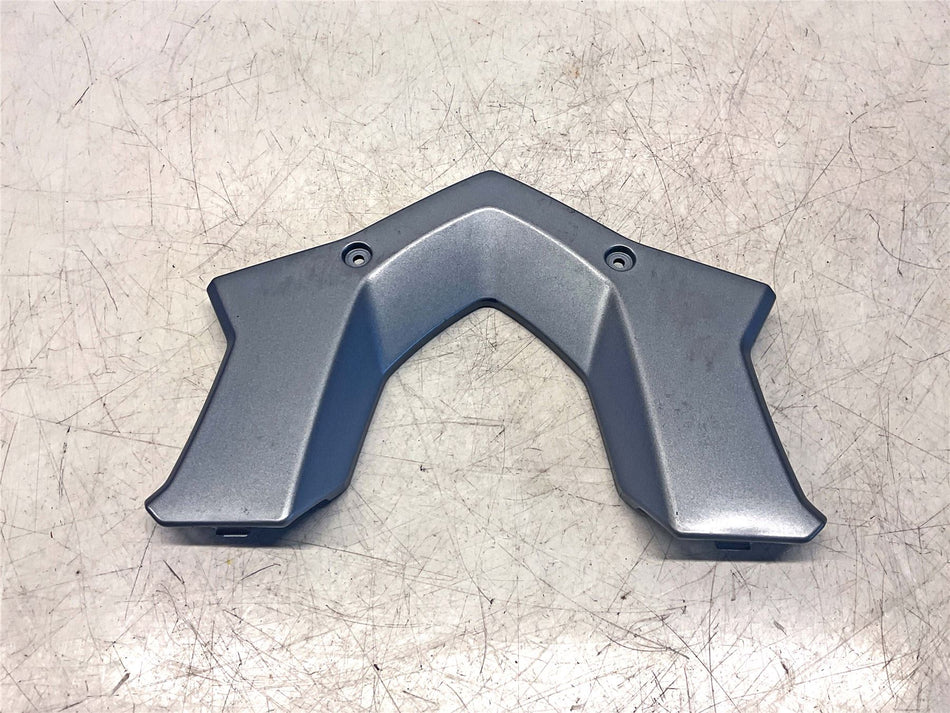 2016 BMW R1200R Luggage Bridge, upper section - 46548556661