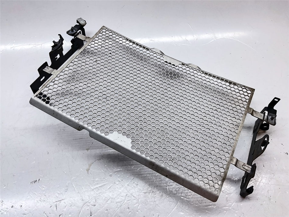 2019 Triumph Tiger 800 XRT Radiator Guard - T2100671