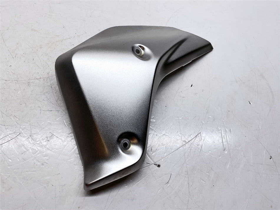 2019 BMW R1250R Left End Radiator Cover - 46638382816