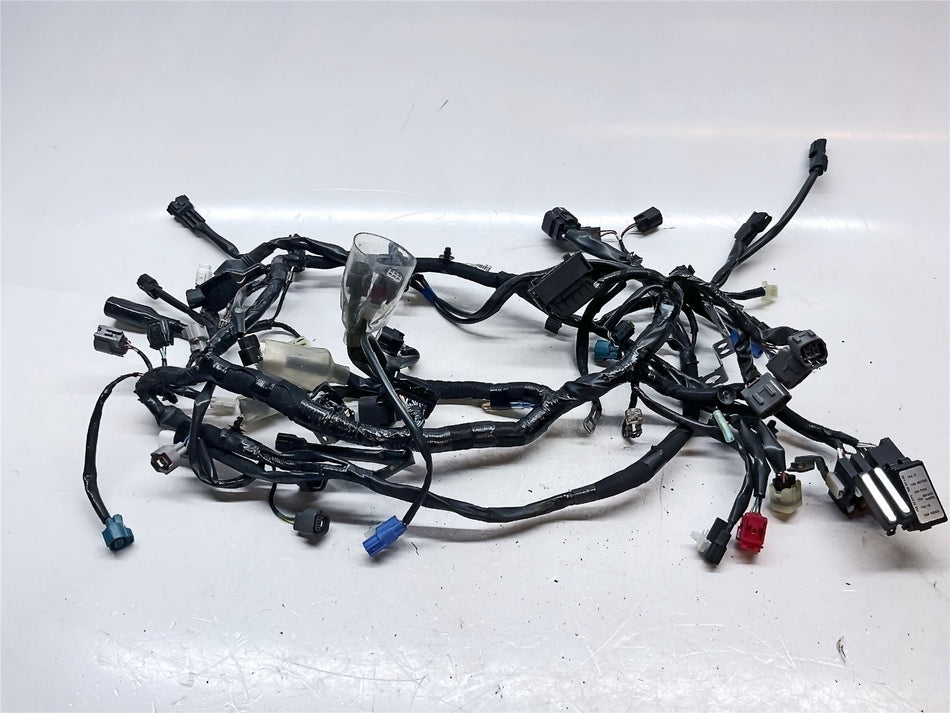 2023 Kawasaki Ninja 650 EX650 Main Harness - 260313993