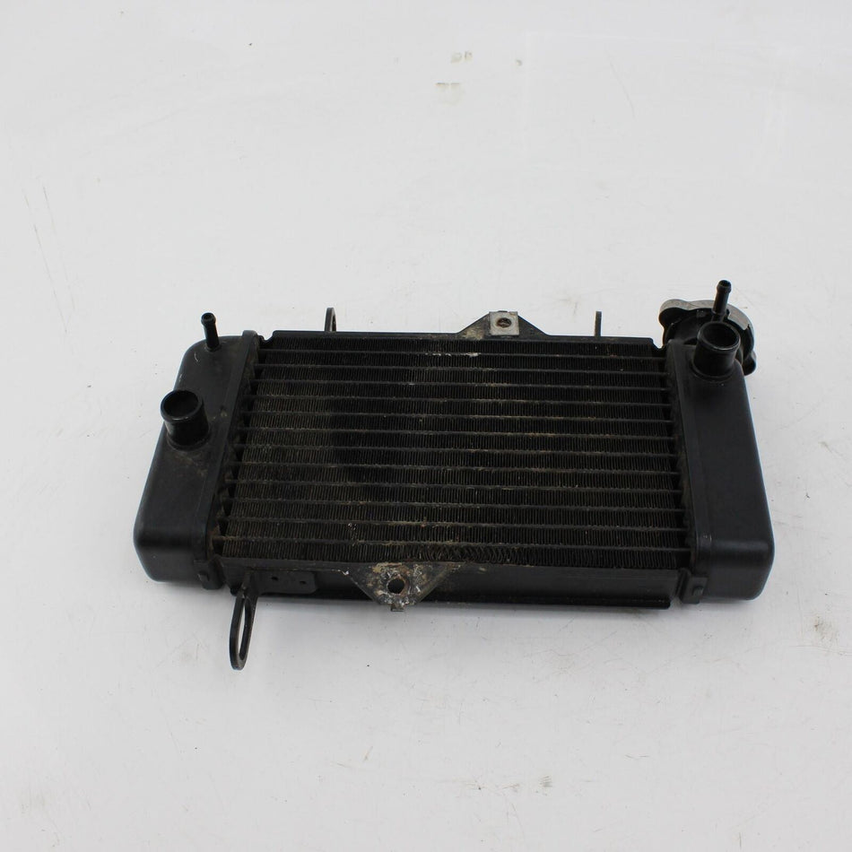 2014-2019 YAMAHA MT-125 Radiator - 5D7E240A2000