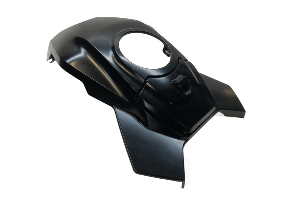 2020 BMW S1000XR Tank Cover 46638406603