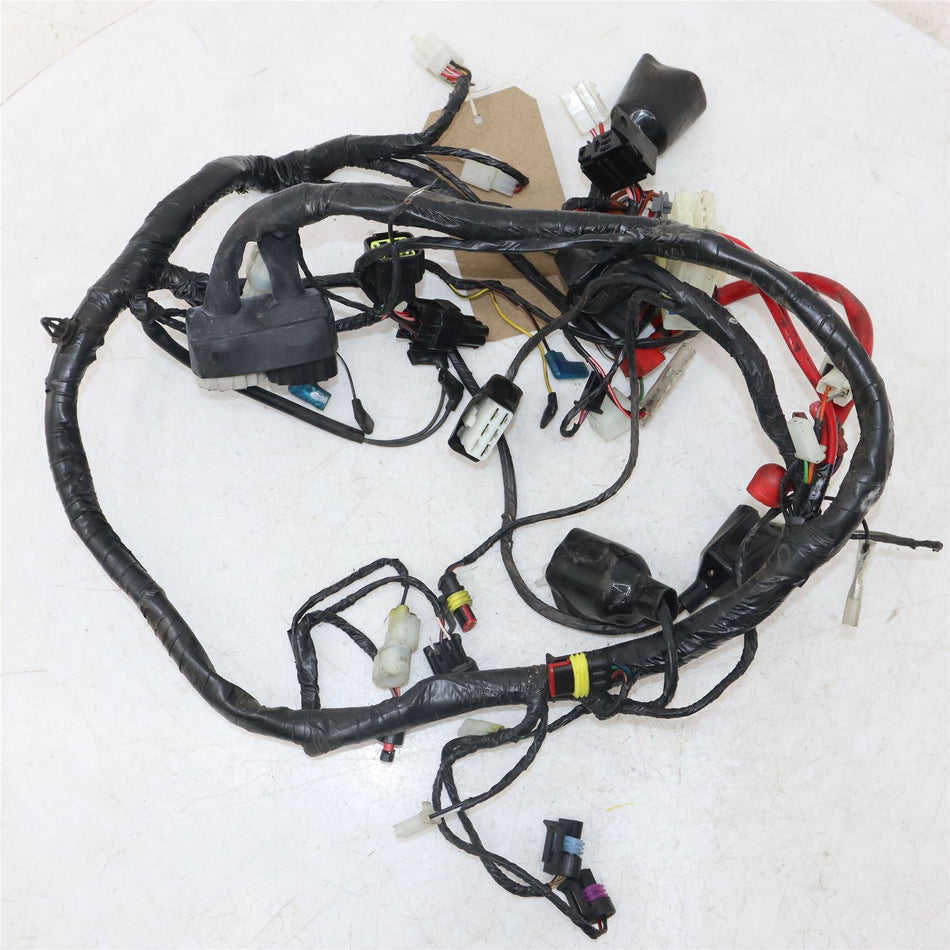2023 BENELLI TORNADO Wiring Loom Harness - 92000V02000G