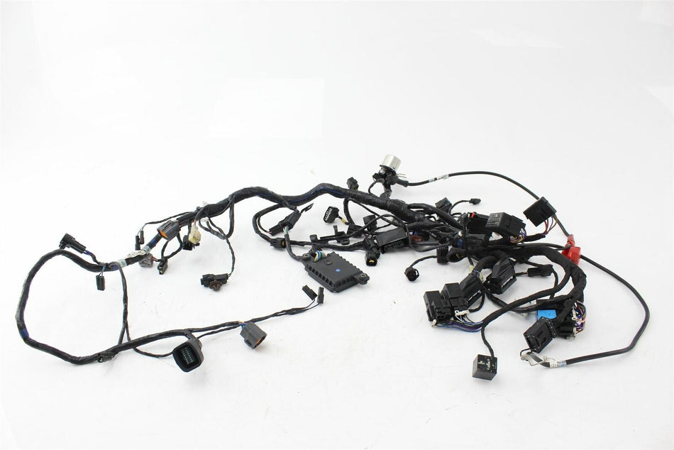 2012-2017 TRIUMPH SPEED TRIPLE 1050 R Main Assembly Harness - T2500917