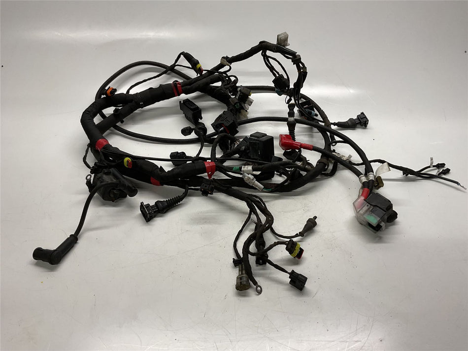 2019 DUCATI MONSTER Main Wire & power Harness Loom