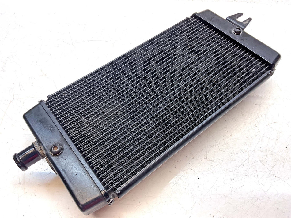 2019 Triumph Bonneville T100 Black Radiator - T2101333