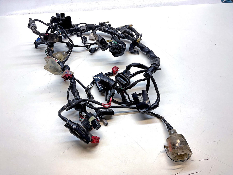 2023 Honda CRF300L ABS Wiring Harness Loom - 32100K1TEF0