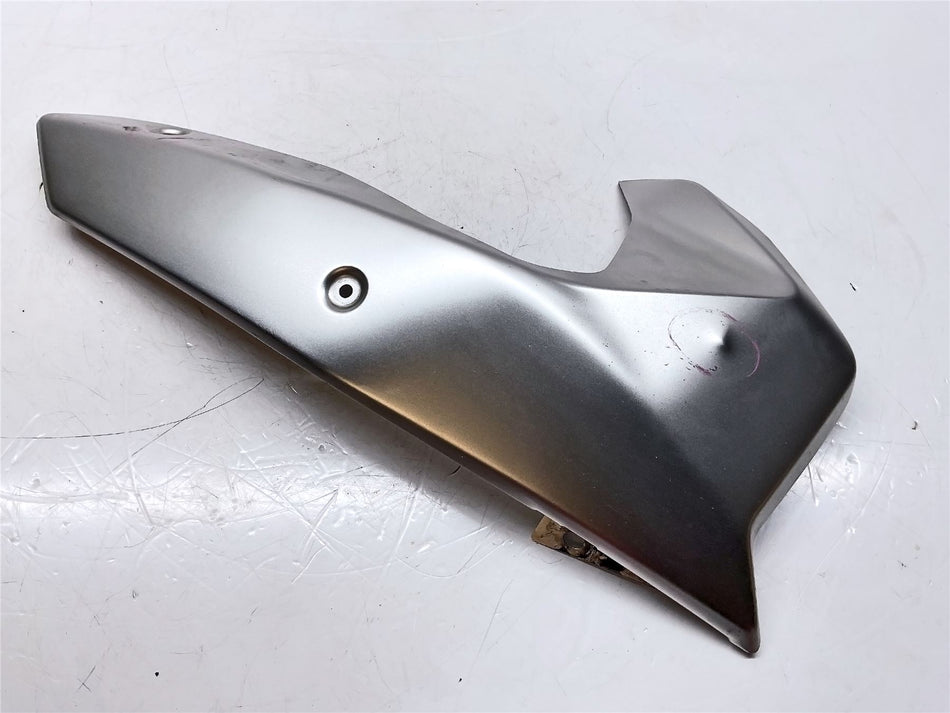 2019 BMW R1250R Right Stainless Engine Spoiler - 46631540816