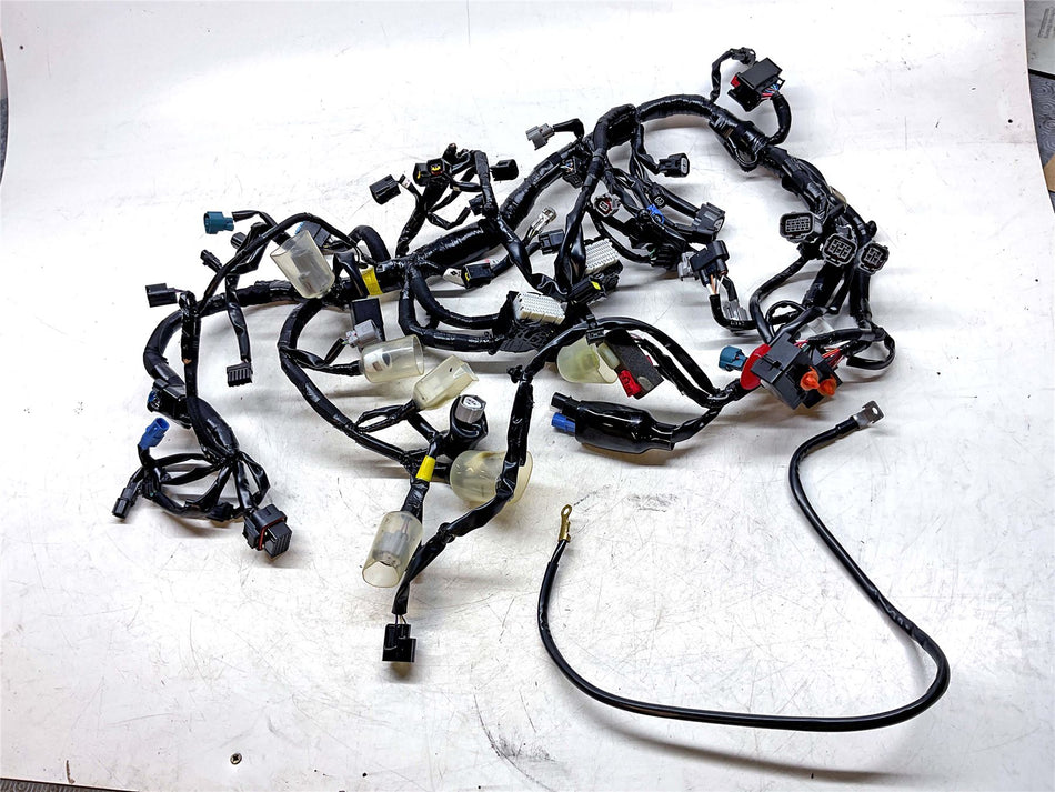 2025 Kawasaki Z900 ZR900 Wiring Harness Loom - 260317049