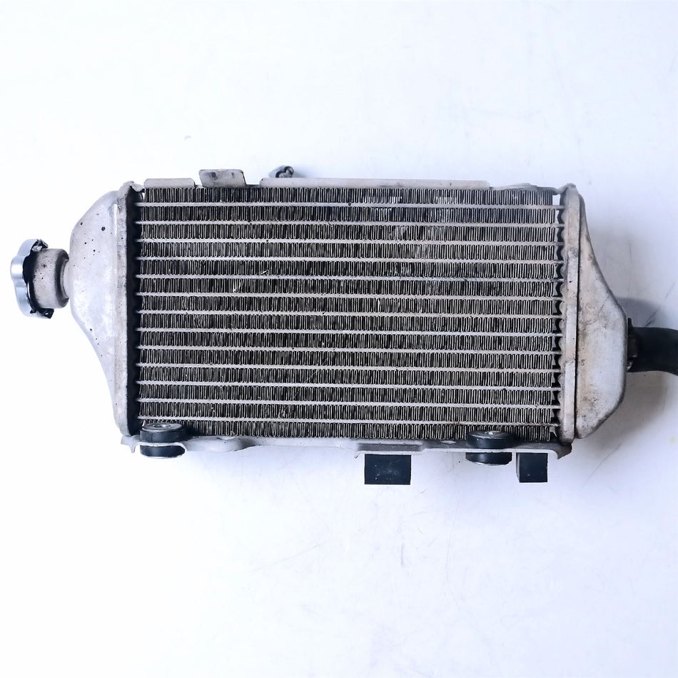 2017 Honda CRF250 RALLY Radiator & Fan - 19010KZZG41