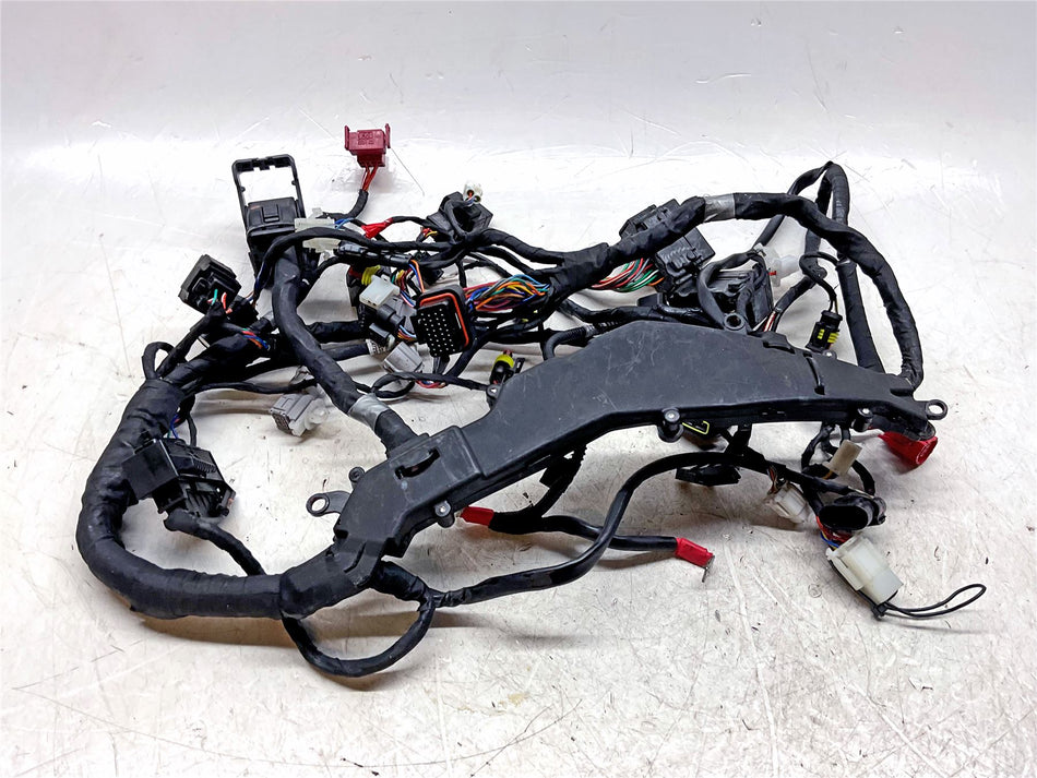 2023 Aprilia RS660 Main Wiring Harness - 2D000458