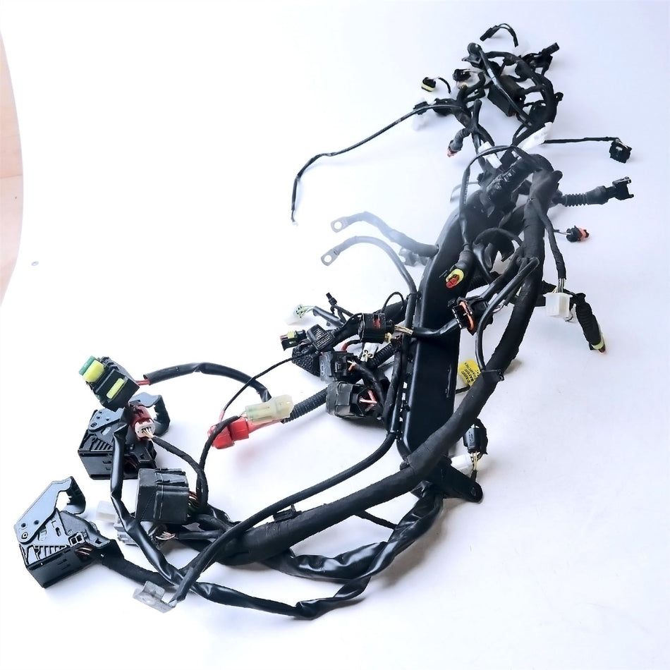 2022 Moto Guzzi V85 TT E5 Wiring Harness Loom - 2D000629