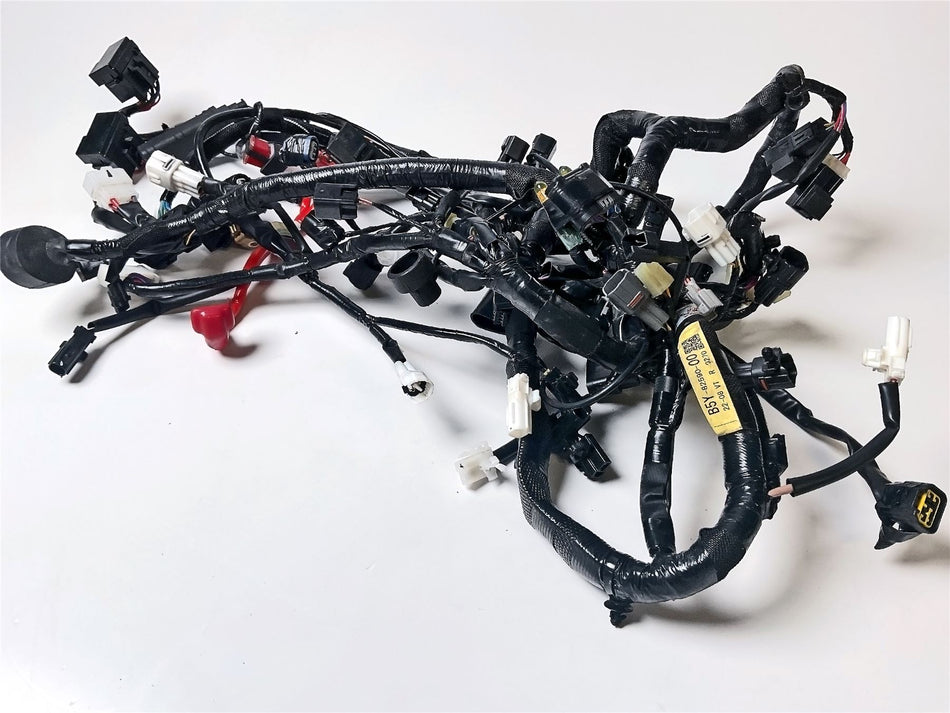 2023 Yamaha MT-10 MAIN WIRING HARNESS - B5Y825902000