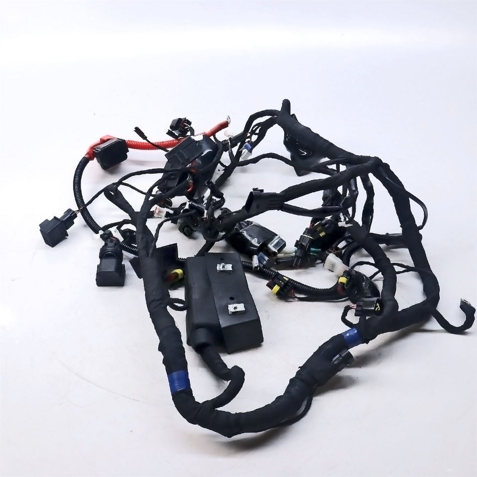 2024 Benelli TRK 702  Wiring Harness Loom - 92050PA80001