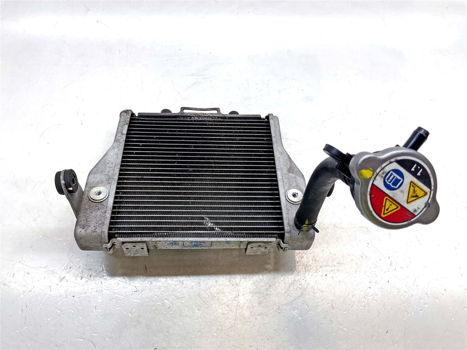 2021 Honda Forza 350 Radiator - 19010K1BT01
