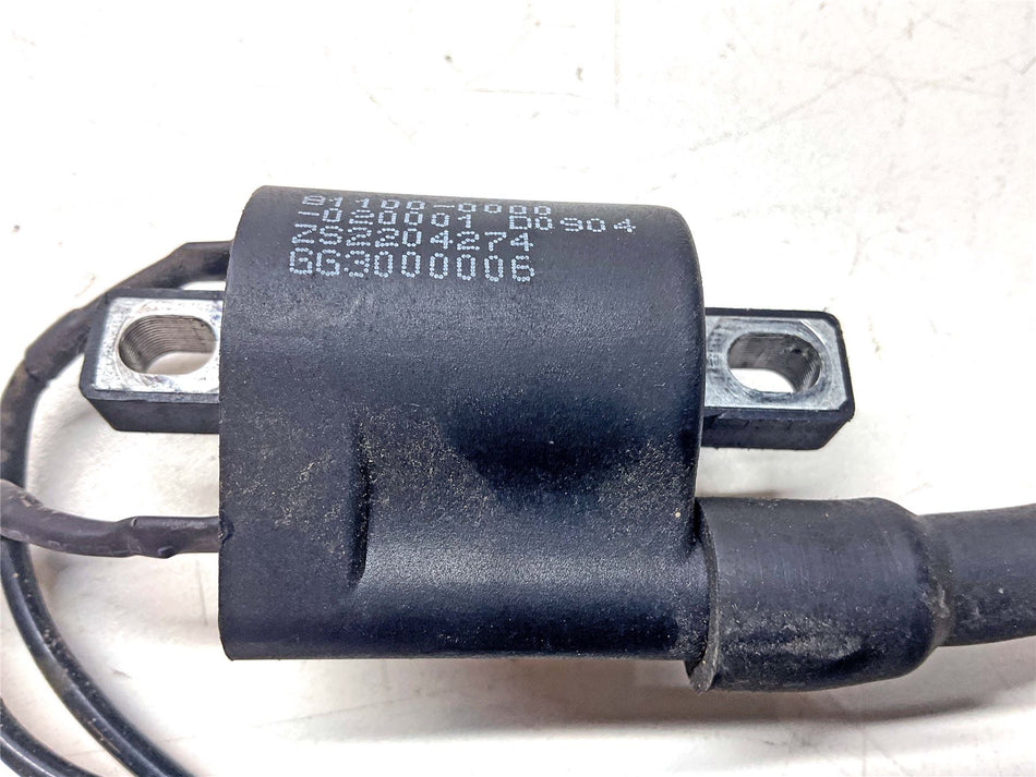 2024 Lexmoto MICHIGAN 125 Ignition Coil - IGNC081