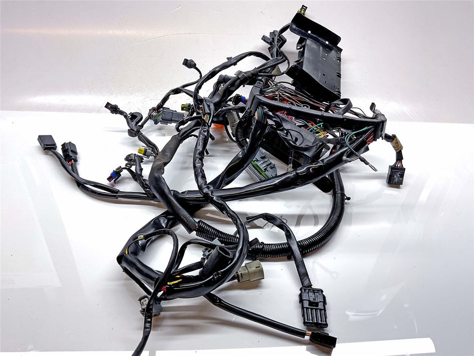 2009 Harley-Davidson Fat Boy FLSTF Wiring Harness Loom - 7043108A