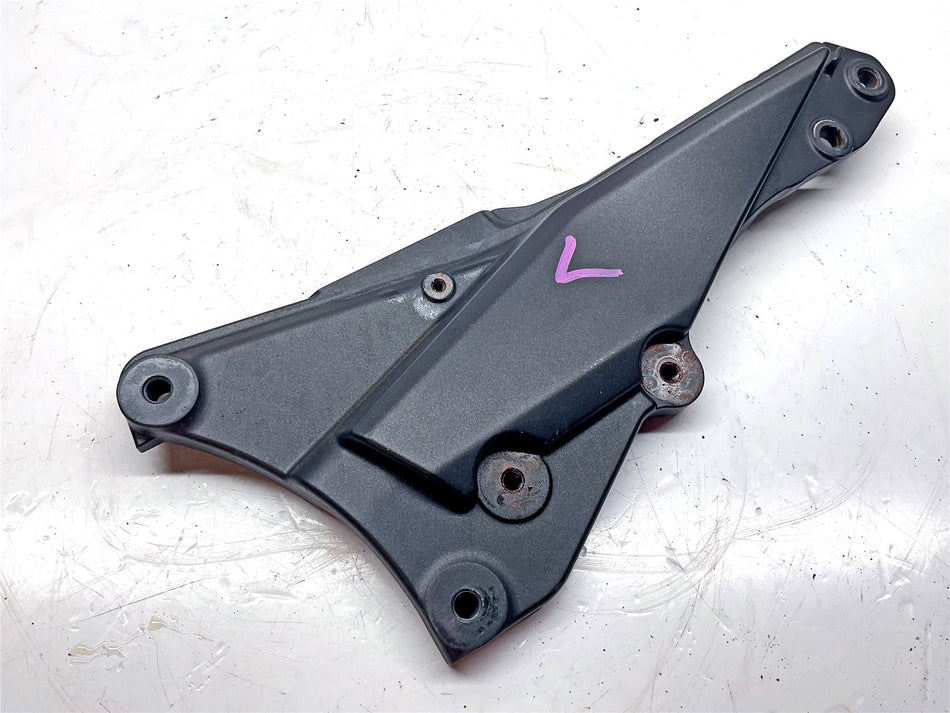 2019 Kawasaki Z1000 SX Left Hand Subframe - 11057080618R