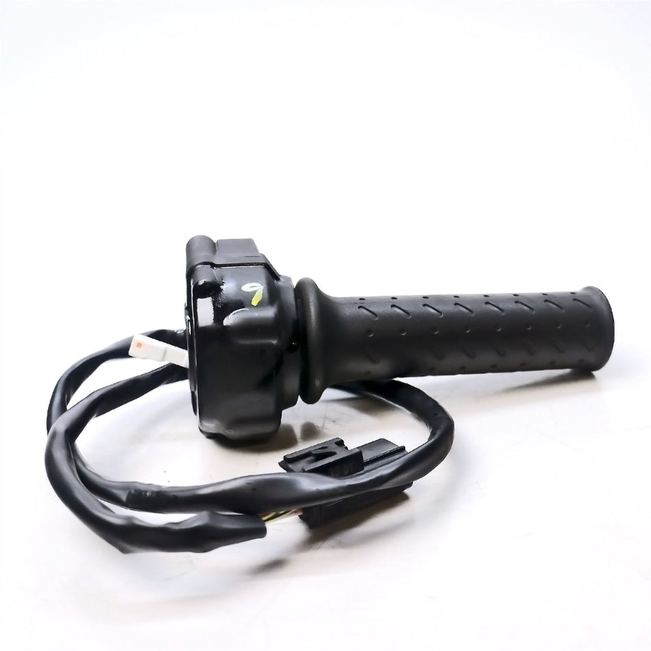 2024 Triumph Speed Twin 1200 Throttle - T2044045