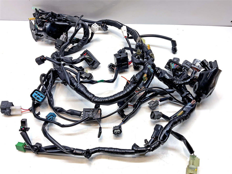 2024 Kawasaki Z400 Wiring Harness Loom - 260313794