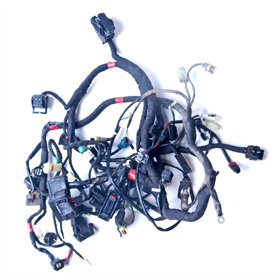 2015 Ducati Monster 821 Main Wiring Harness - 51019741C