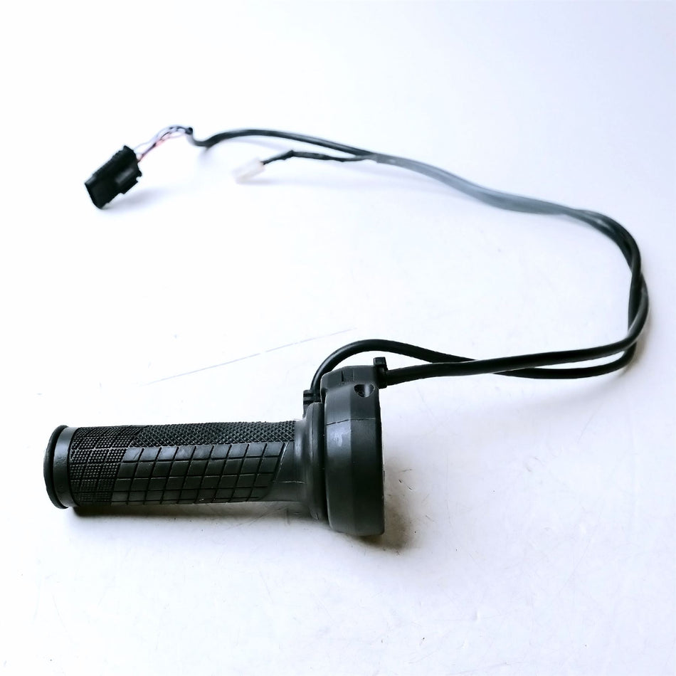 2022 Moto Guzzi V85 TT E5 Throttle & Cruise Control - 2D000654