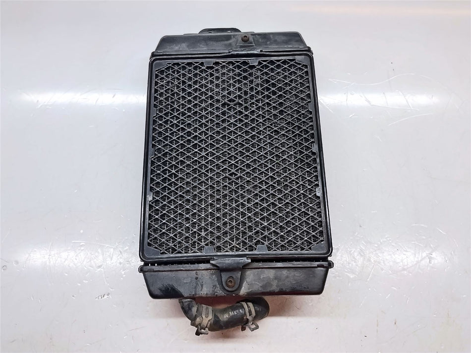 2024 Triumph Scrambler 400X Radiator Assembly - TA601200