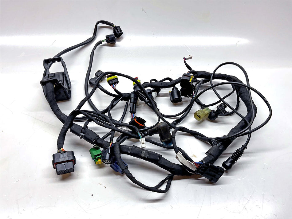 2024 Moto Guzzi V100 Mandello S Wiring Harness Loom - 2D00755