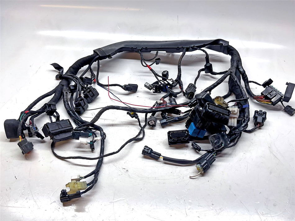 2018 Triumph Bonneville T120 Black Main Wiring Harness - T2502262