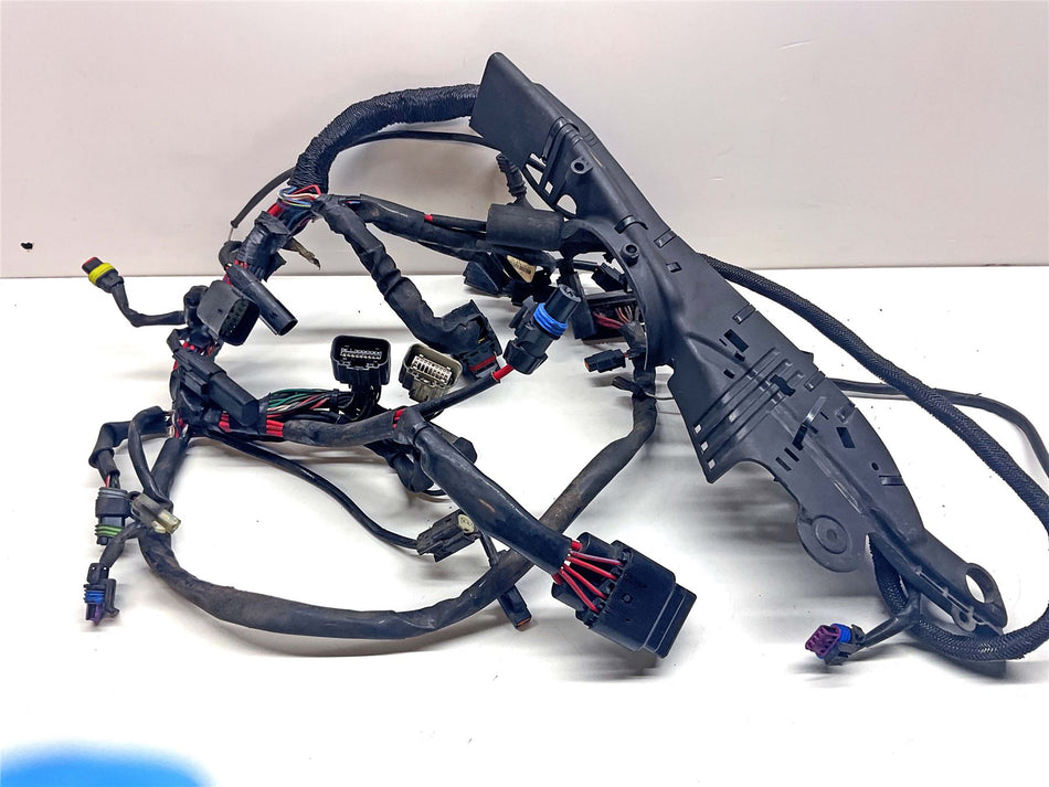 2014 Harley-Davidson Iron 883 Wiring Harness Loom - 69200073
