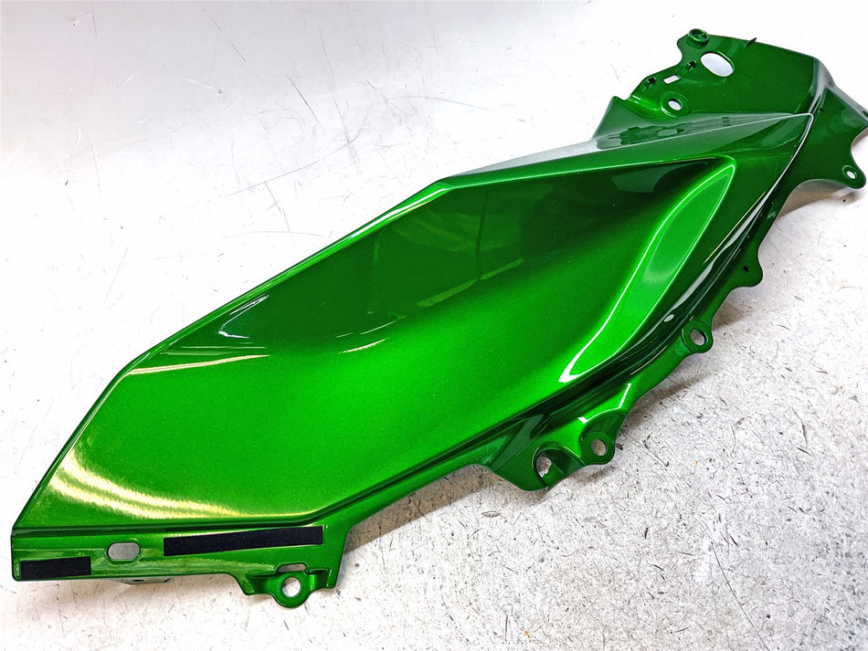 2020 Kawasaki Ninja 1000SX ZX1000 Side Panel