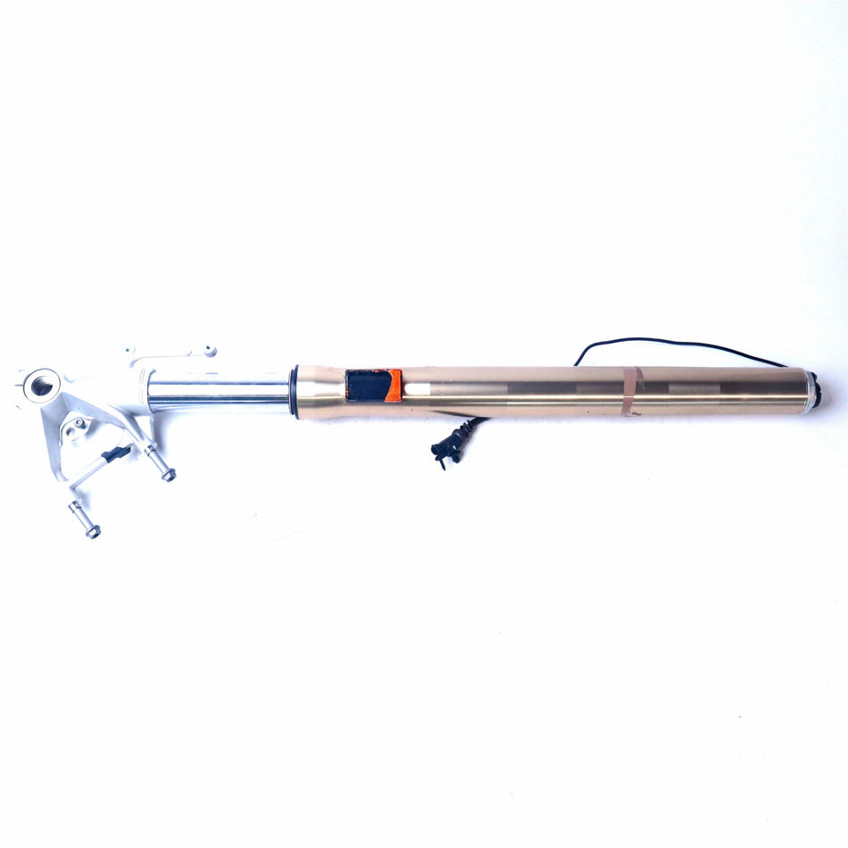 2021 BMW S1000XR Left Fork Leg - 31428358649