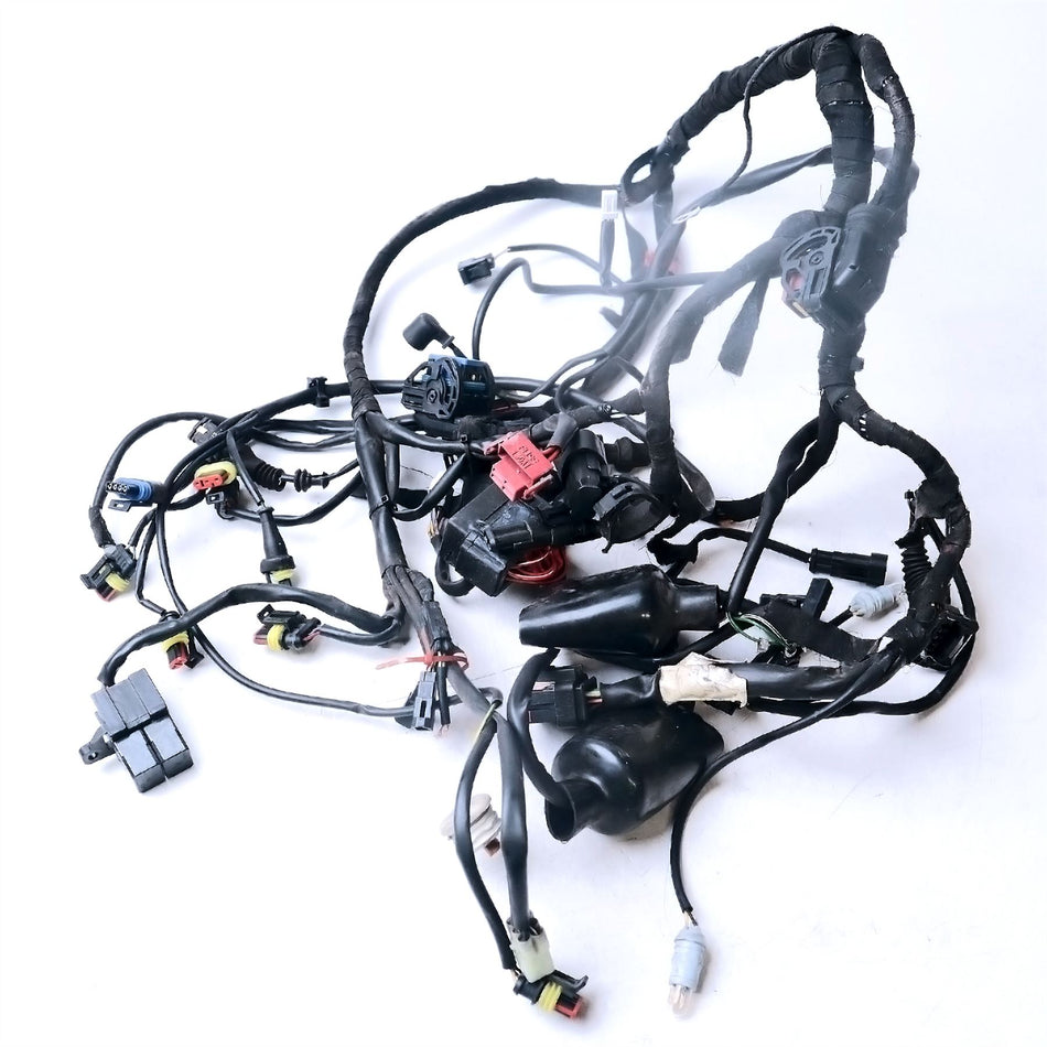 2008 Ducati Hypermotard 1100 Wiring Harness - 51015441A