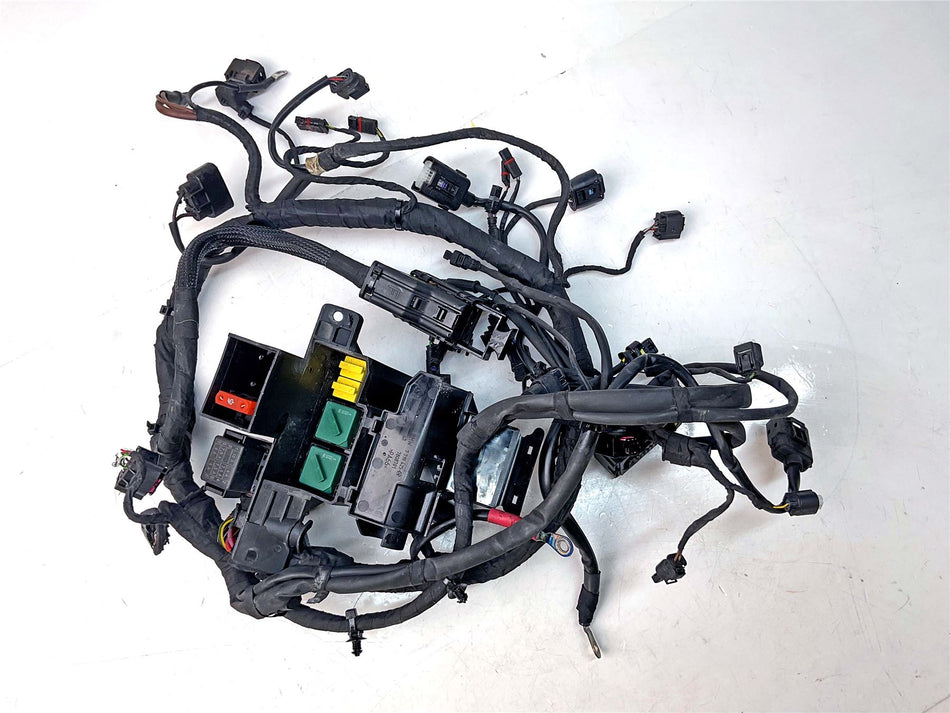 2018 BMW S1000R Main Wiring Harness Loom - 61118355087