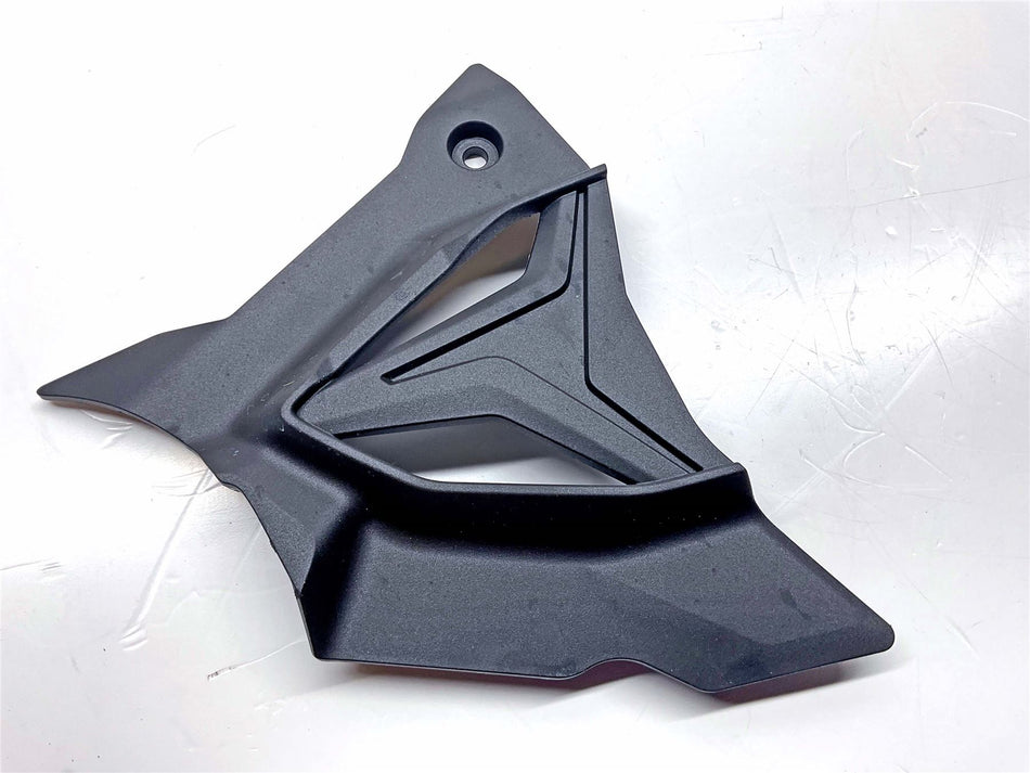 2025 BMW S1000R Sport Front Sprocket Cover - 33818394320