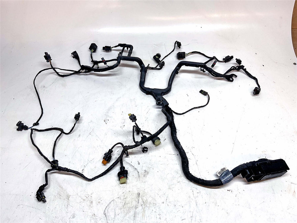 2019 BMW R1250GS Adventure Engine Wiring Harness - 12519480230
