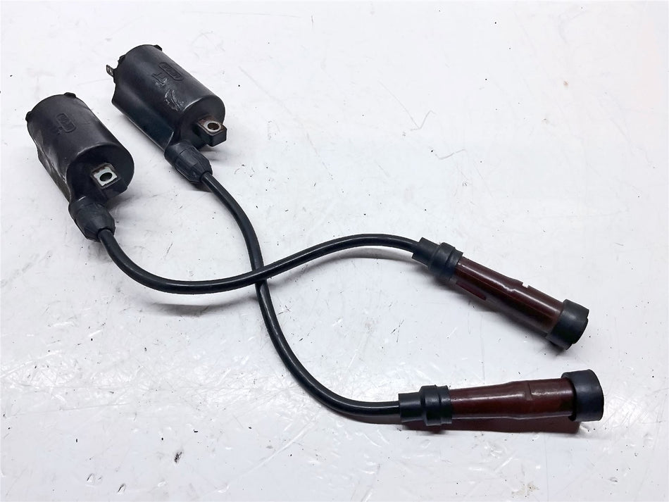 2009 Triumph Scrambler 900 Ignition Coils - T1291600