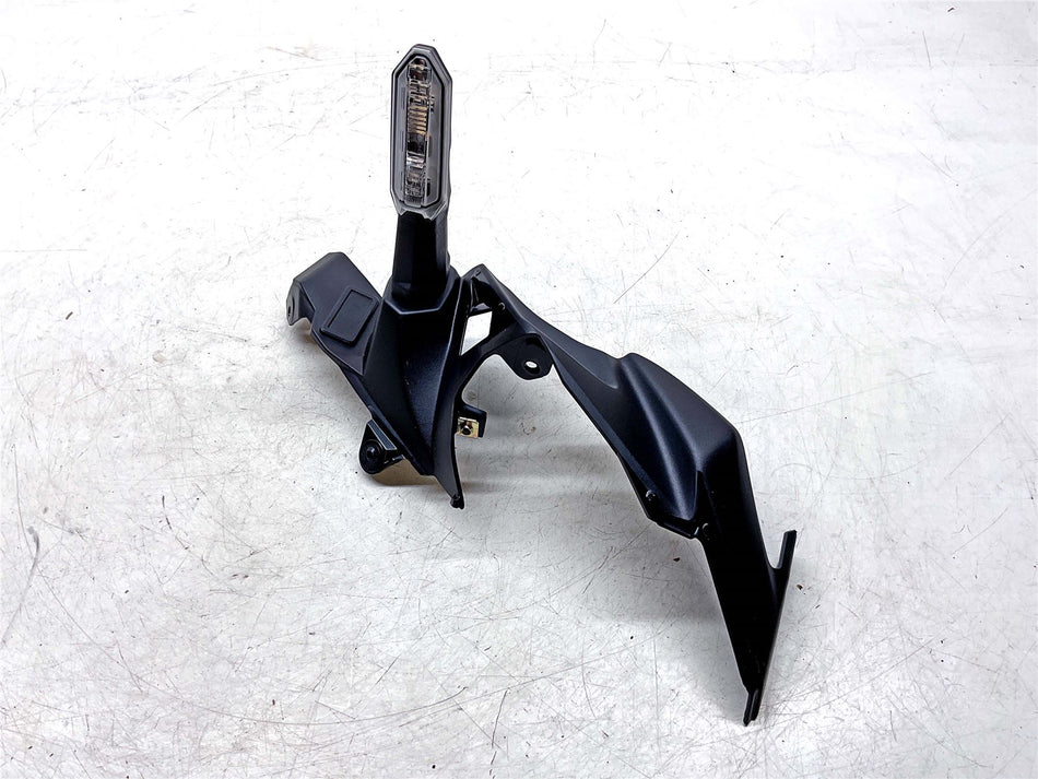 2025 Kawasaki Z900 ZR900 Front Left Indicator