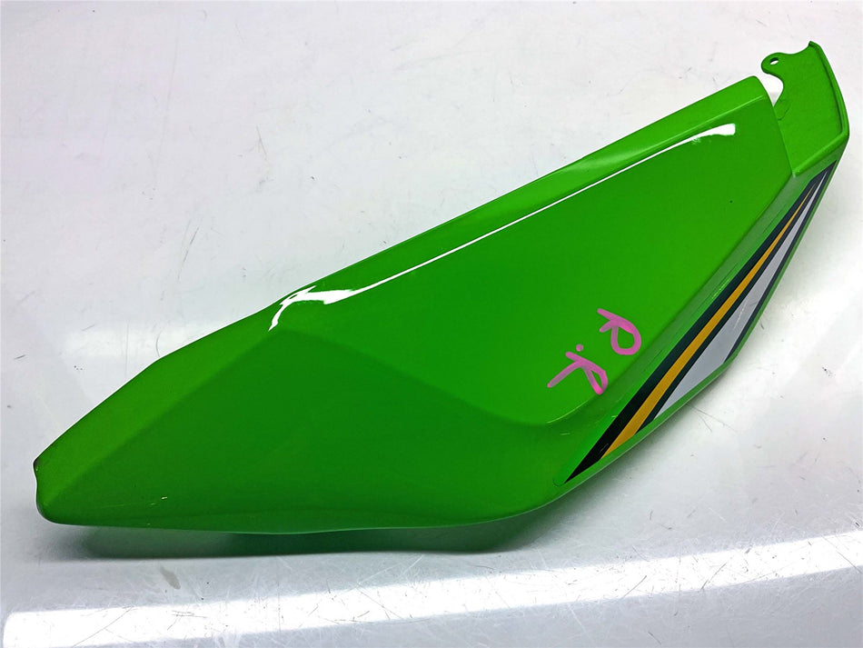 2025 Kawasaki Ninja ZX10R ZX1000 Right Tail Fairing - 360010701