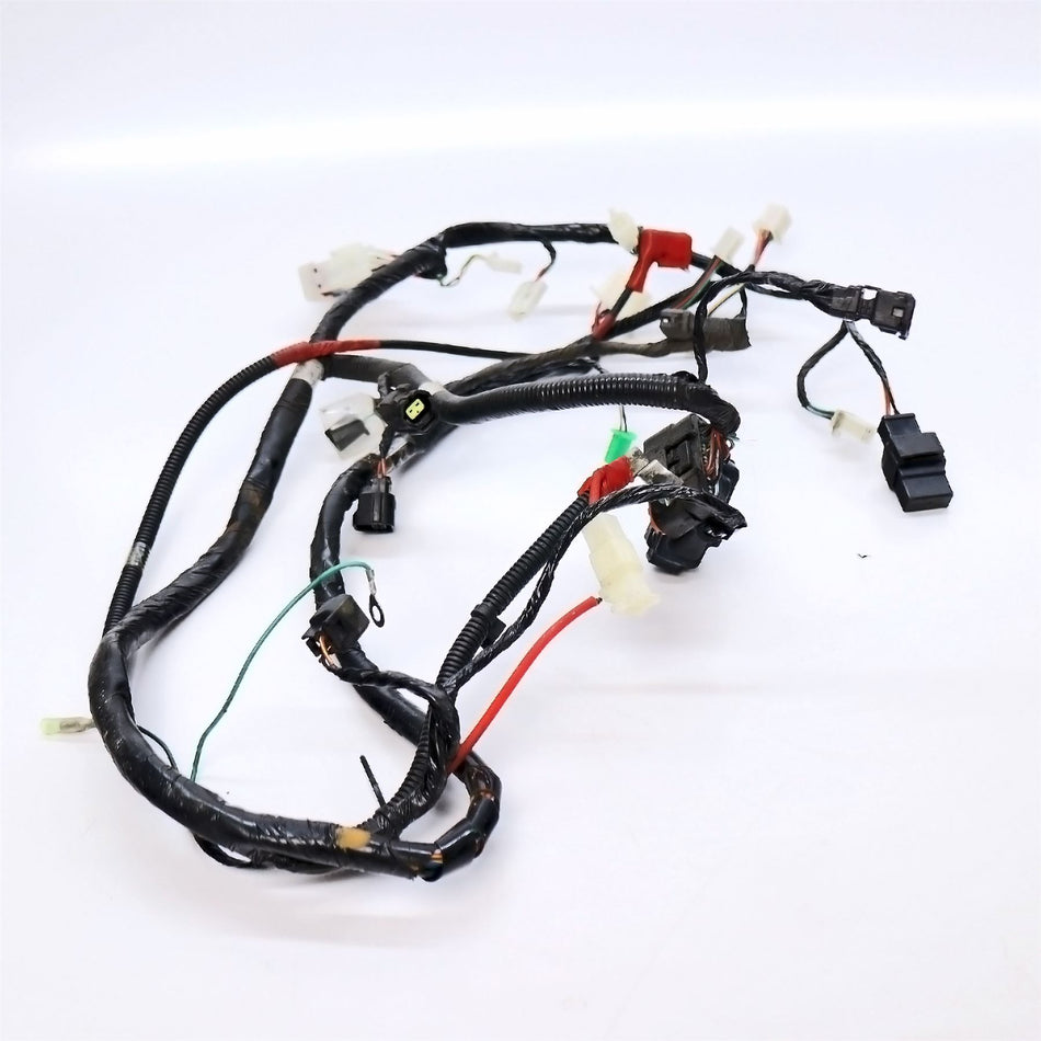 2022 LAMBRETTA V125 SPECIAL Wiring harness - L92000LMB0001