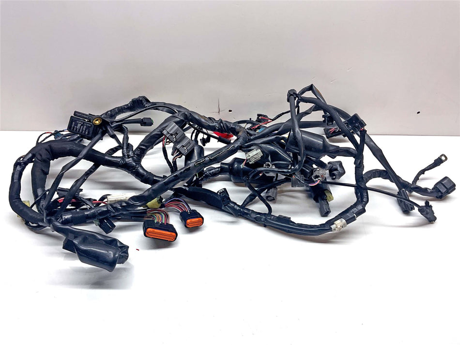 2018 Kawasaki Versys 650 Wiring Harness Loom - 260312218