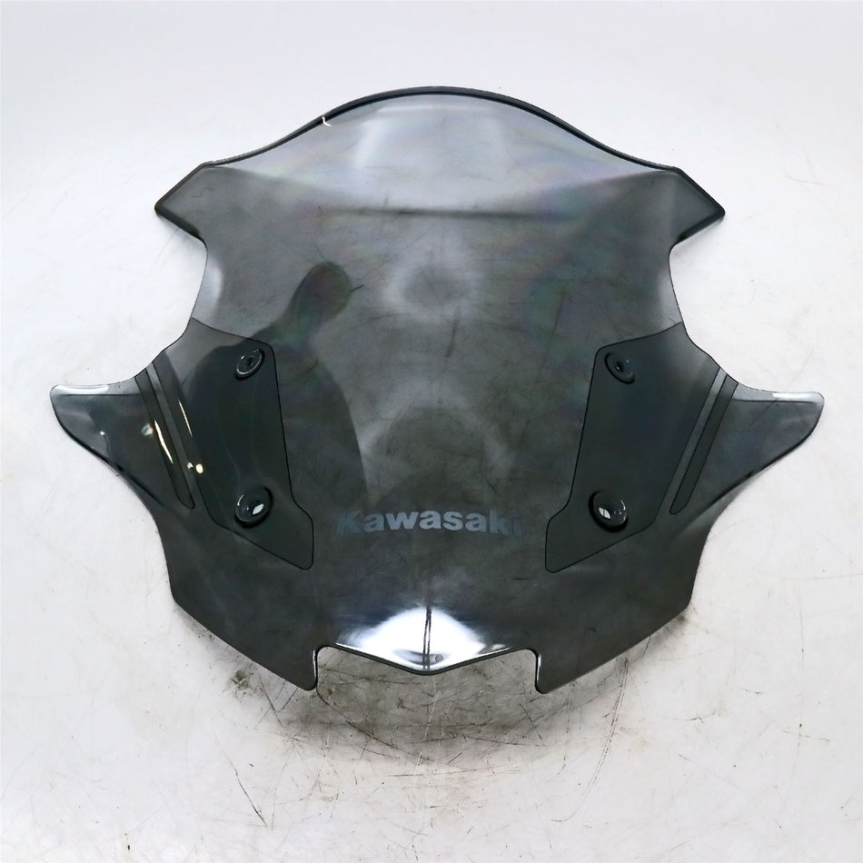 2023 Kawasaki Ninja ZX10R Screen - 39154-0434