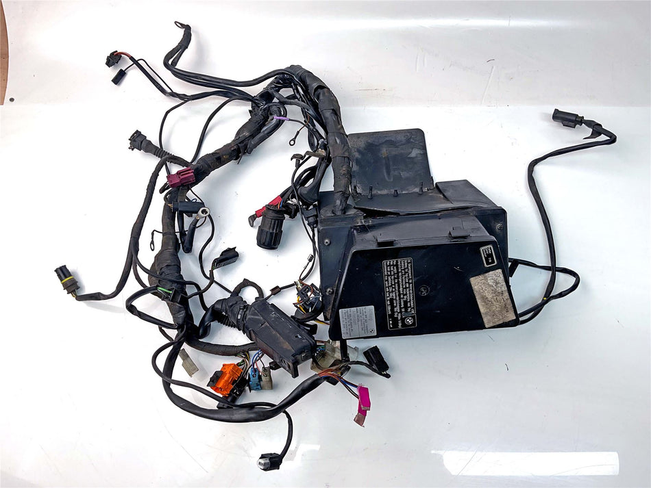 2005 BMW R850R Wiring Harness Loom