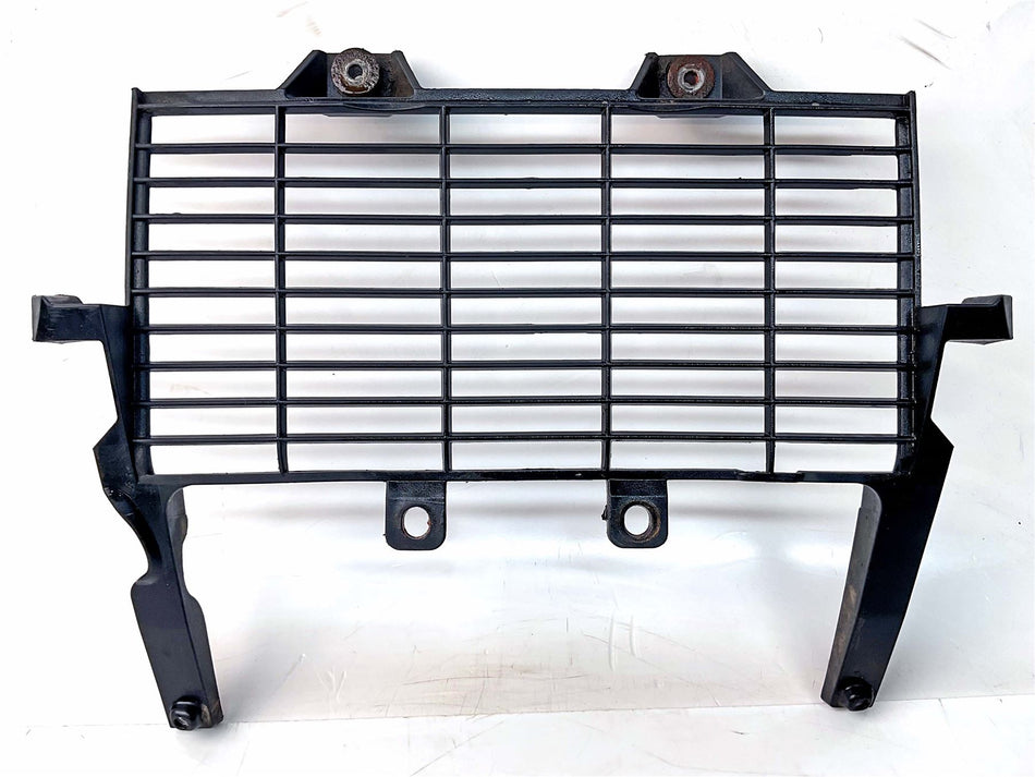 2016 Yamaha XT660 Tenere Radiator Guard - 11D-E2498-00