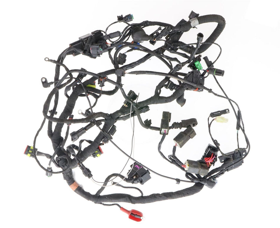 2017-ON BMW G310 R Wiring Harness  - 61118525495