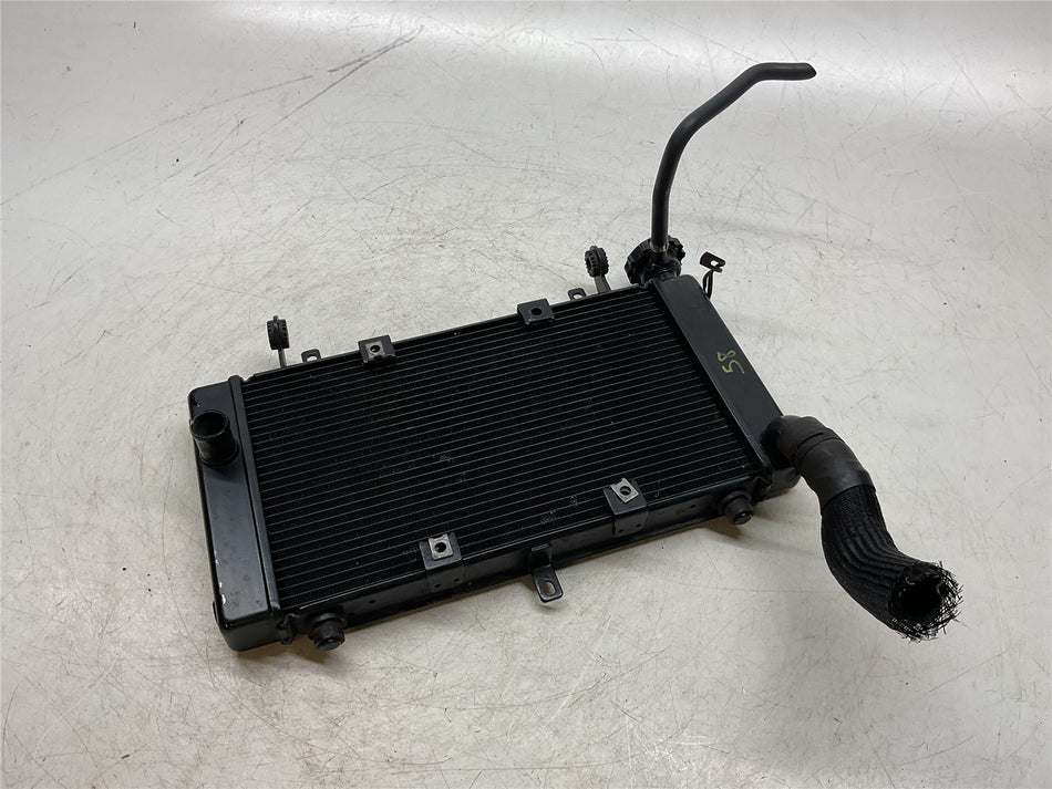 2022 Triumph Tiger 1200 Rally Pro Radiator
